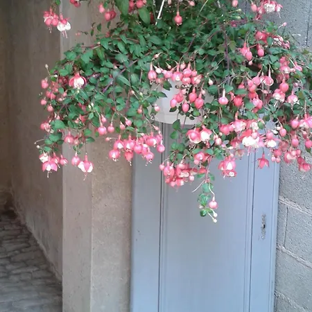 Domaine Au Gres Des Pierres *