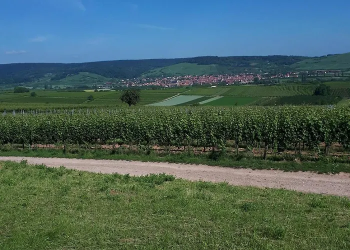 Domaine Au Gres Des Pierres
